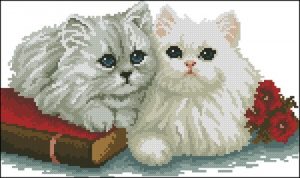Two cats Two cats