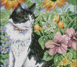 Black and White Cat Black and White Cat