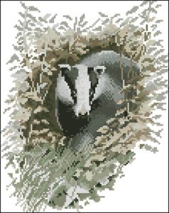Badger (барсук) Badger (барсук)