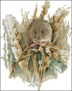 Harvest Mouse (урожайная мышь) Harvest Mouse (урожайная мышь)