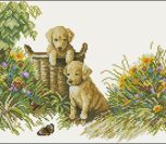 Innocent puppies Innocent puppies