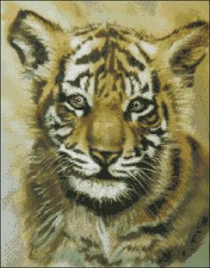 Baby Tiger JW-008 Baby Tiger JW-008