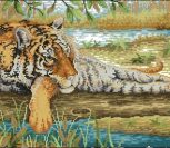 Tranquil Moment Tranquil Moment