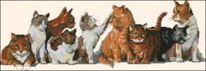 Nine Lives Nine Lives