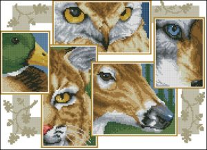 Коллаж из глаз животных Коллаж дикой природы