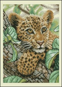Leopard Cub