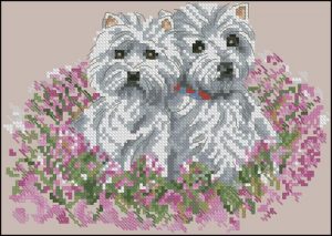 West Highland White Terrier fragm West Highland White Terrier fragm