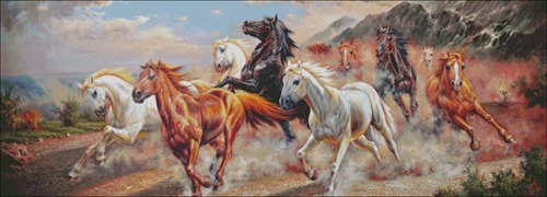 Herd of Wild Horses