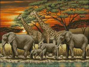 African sunset