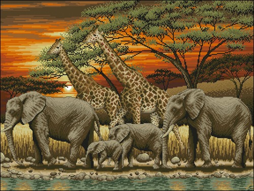 African sunset