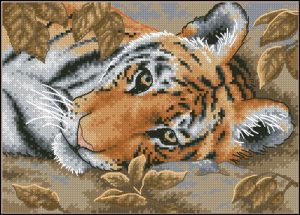 Beguiling Tiger Beguiling Tiger