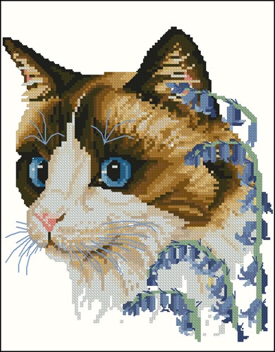 Spring cat