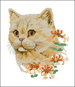 Любимая кошка