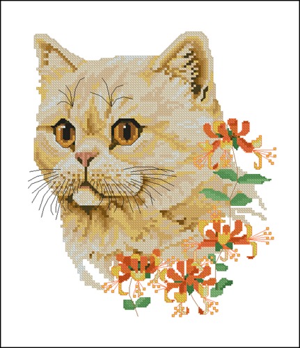 Любимая кошка