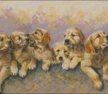 Puppies Puppies