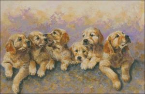 Puppies