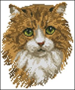 Морда кота Морда кота