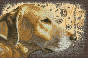 Yellow Lab