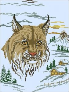 Wild Cat