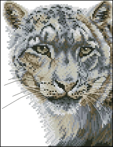 Snow leopard
