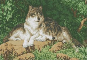 Лесные хищники