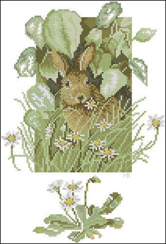 Hare in the Grass