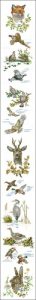 Cross Stitch Animals