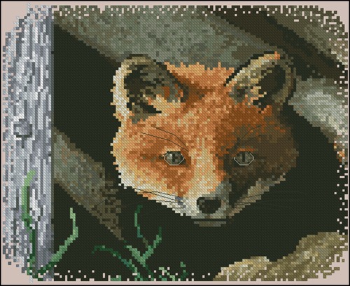 Red Fox