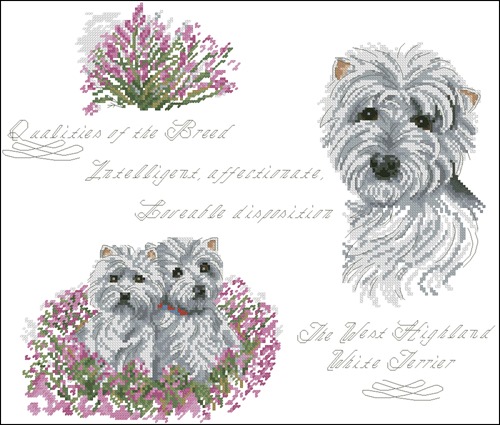West Highland White Terrier