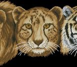 Big Cat Trio Big Cat Trio