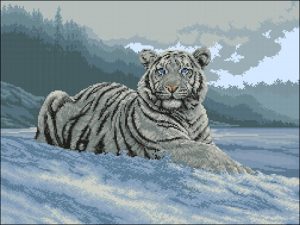 Siberian Tiger