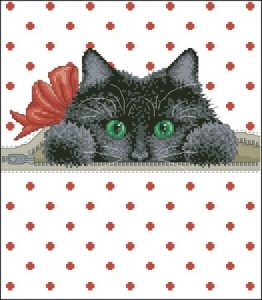Котик в кармашке