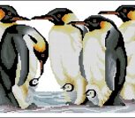 Emperor Penguins Emperor Penguins