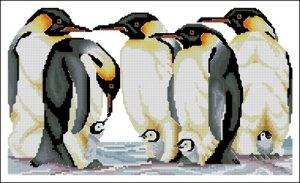 Emperor Penguins