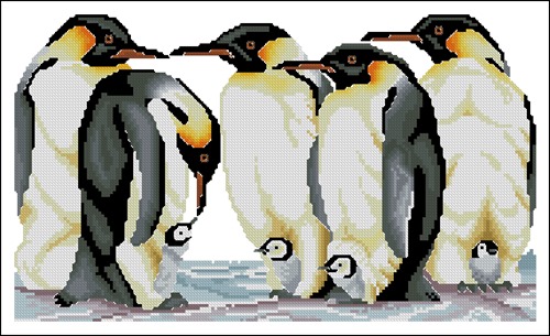Emperor Penguins