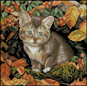 Autumn kitten