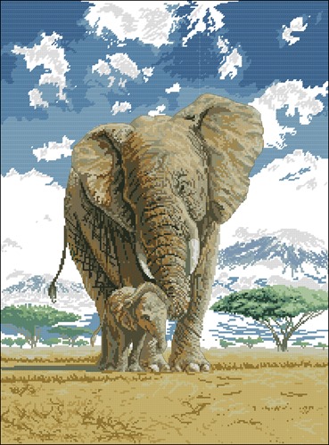 Elephants