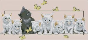 One Grey Among White One Grey Among White