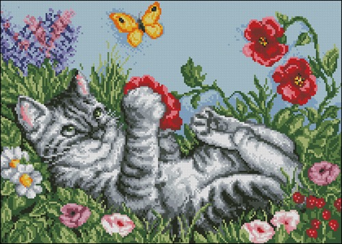 Игривый котик