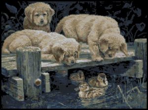 Golden Pier Gang
