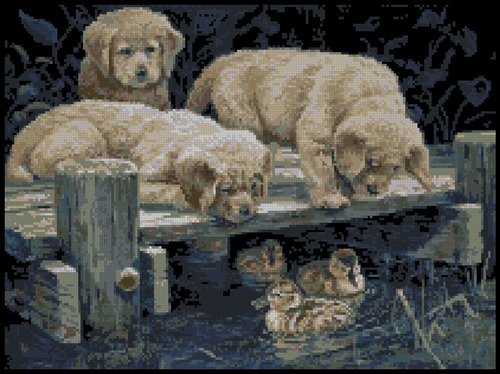 Golden Pier Gang