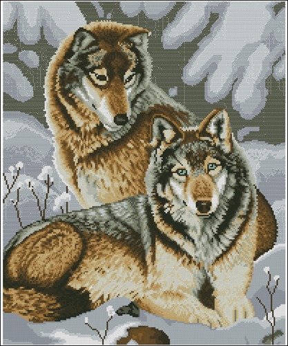 Pair of Wolves in the Snow