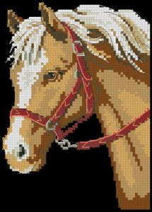 Favorite pony Favorite pony