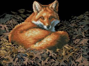 Sunlit Fox