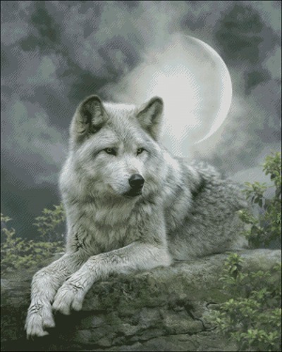 In The Moonlight