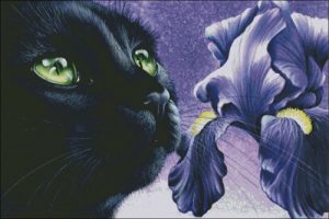 Purple Iris