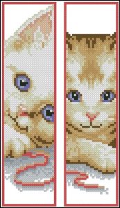 Two cats