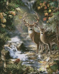 Deer Creek Deer Creek