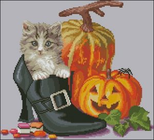 Halloween kitten Halloween kitten