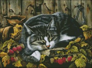 Кошачий рисунок